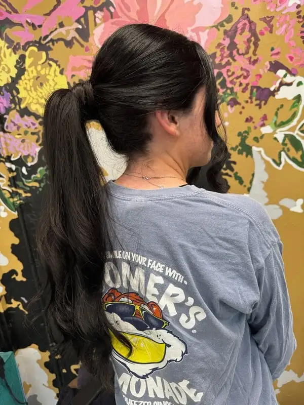 Elegant formal hairstyle updo.